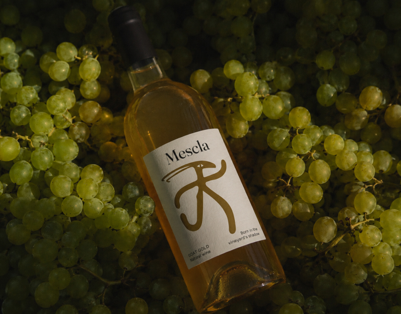 Bottle in Grapes